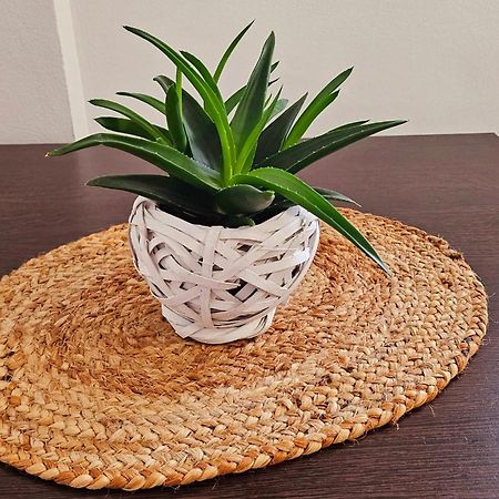 יאשי Apartamente Elegante In Regim Hotelier מראה חיצוני תמונה