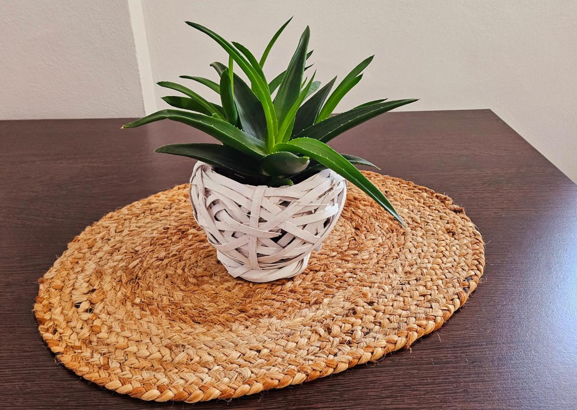 יאשי Apartamente Elegante In Regim Hotelier מראה חיצוני תמונה